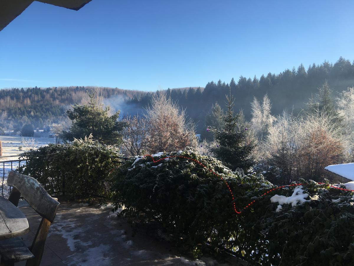 Vila Eden Porumbacu de Sus Eksteriør billede